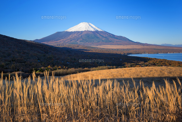 秋の山中湖と富士山
(c)YOSHITSUGU NISHIGAKI/SEBUN PHOTO