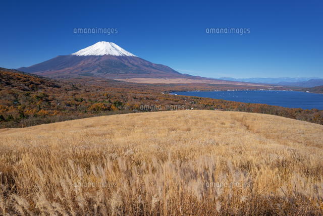 秋の山中湖と富士山
(c)YOSHITSUGU NISHIGAKI/SEBUN PHOTO