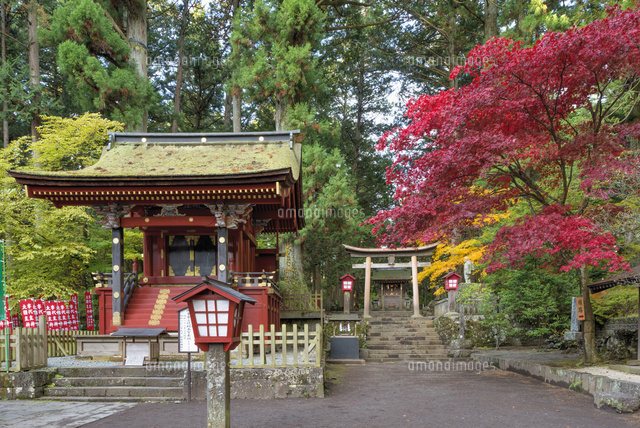秋の北口本宮浅間神社 西宮
(c)YOSHITSUGU NISHIGAKI/SEBUN PHOTO