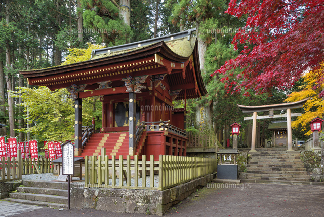 秋の北口本宮浅間神社 西宮
(c)YOSHITSUGU NISHIGAKI/SEBUN PHOTO