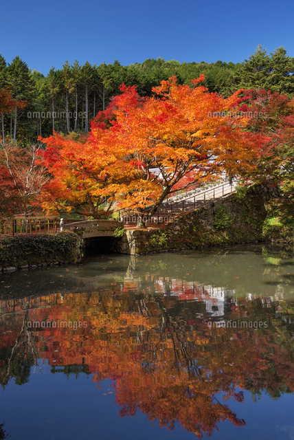 紅葉と円通寺
(c)YOSHITSUGU NISHIGAKI/SEBUN PHOTO