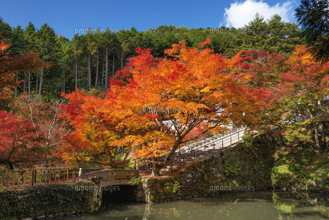 紅葉と円通寺
(c)YOSHITSUGU NISHIGAKI/SEBUN PHOTO