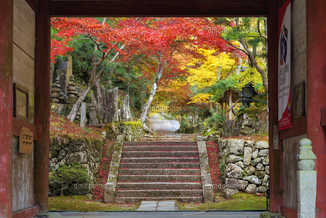 紅葉と石龕寺
(c)YOSHITSUGU NISHIGAKI/SEBUN PHOTO