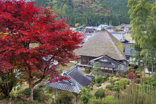紅葉と達身寺
(c)YOSHITSUGU NISHIGAKI/SEBUN PHOTO