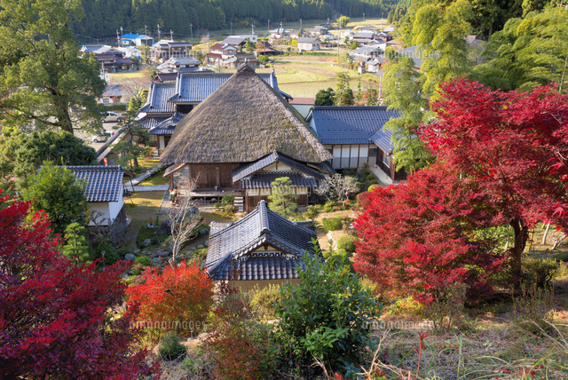 紅葉と達身寺
(c)YOSHITSUGU NISHIGAKI/SEBUN PHOTO