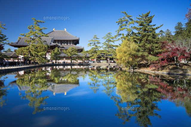 紅葉の鏡池と東大寺大仏殿
(c)YOSHITSUGU NISHIGAKI/SEBUN PHOTO