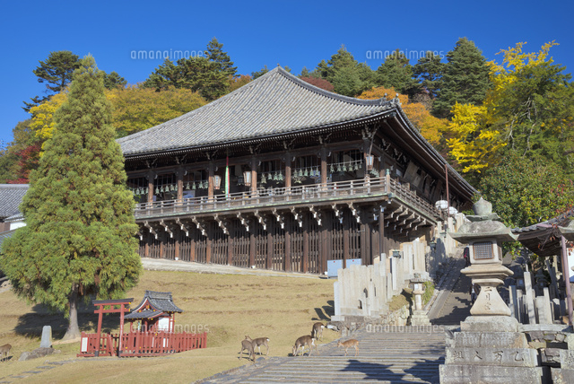 紅葉の鏡池と東大寺大仏殿
(c)YOSHITSUGU NISHIGAKI/SEBUN PHOTO