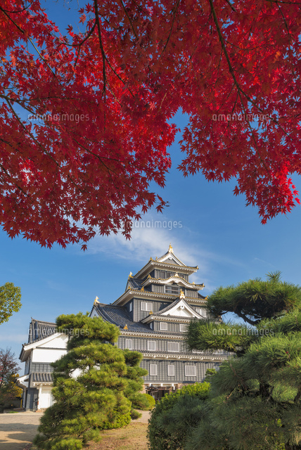 紅葉と岡山城
(c)YOSHITSUGU NISHIGAKI/SEBUN PHOTO
