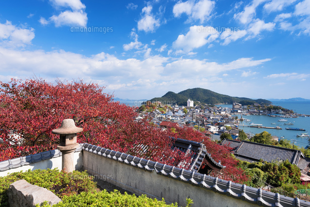 紅葉の医王寺より鞆の浦の町並みと仙酔島
(c)YOSHITSUGU NISHIGAKI/SEBUN PHOTO