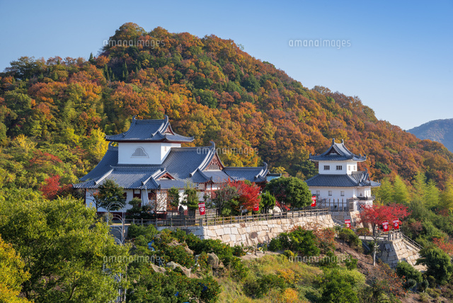 秋の因島水軍城
(c)YOSHITSUGU NISHIGAKI/SEBUN PHOTO