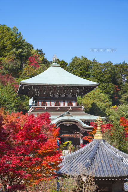 紅葉の大聖院
(c)YOSHITSUGU NISHIGAKI/SEBUN PHOTO