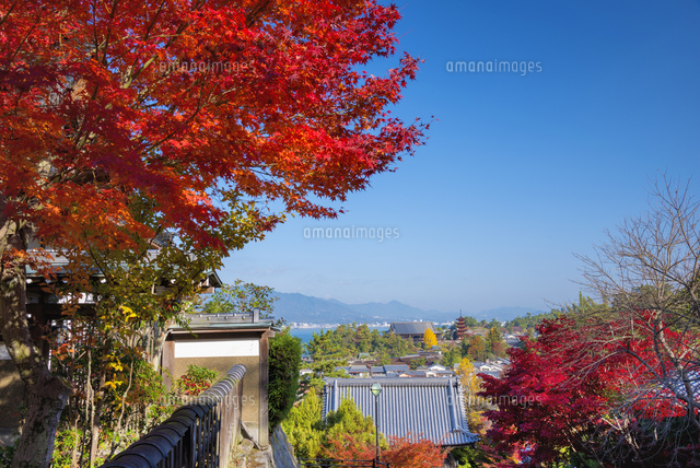 紅葉の大聖院より宮島
(c)YOSHITSUGU NISHIGAKI/SEBUN PHOTO