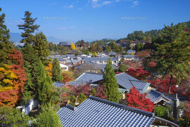 紅葉の大聖院より宮島
(c)YOSHITSUGU NISHIGAKI/SEBUN PHOTO
