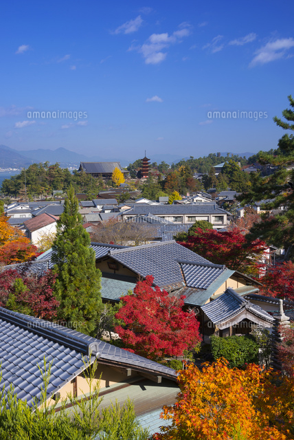 紅葉の大聖院より宮島
(c)YOSHITSUGU NISHIGAKI/SEBUN PHOTO