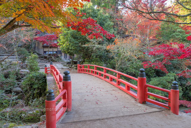 秋の紅葉谷公園
(c)YOSHITSUGU NISHIGAKI/SEBUN PHOTO