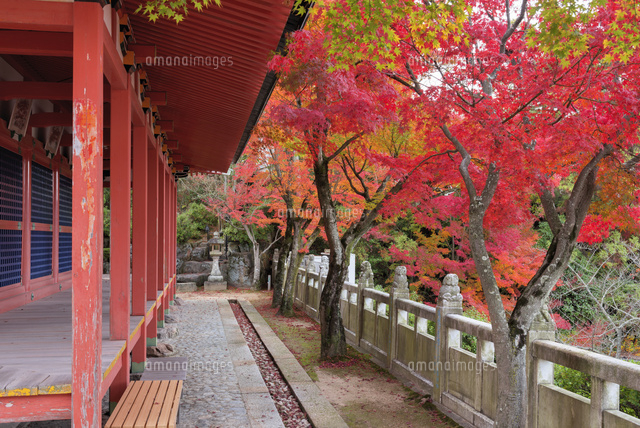 秋の耕三寺
(c)YOSHITSUGU NISHIGAKI/SEBUN PHOTO