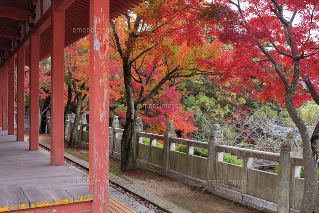 秋の耕三寺
(c)YOSHITSUGU NISHIGAKI/SEBUN PHOTO