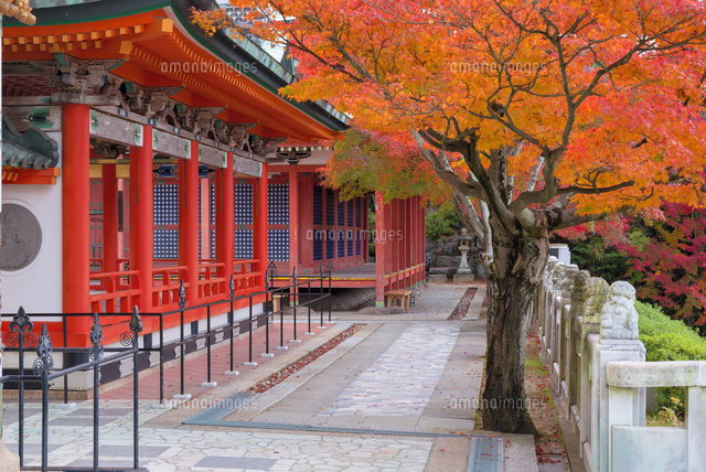 秋の耕三寺
(c)YOSHITSUGU NISHIGAKI/SEBUN PHOTO