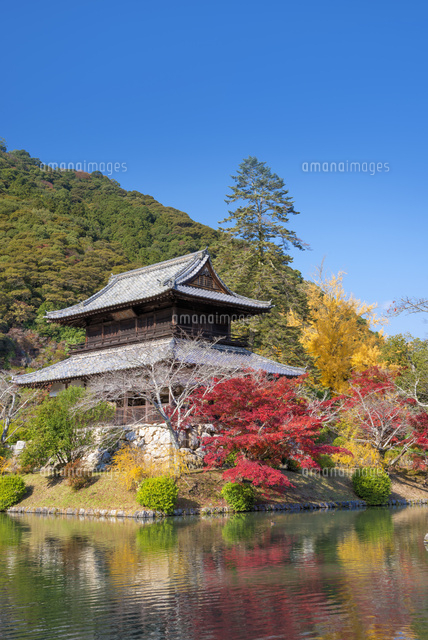 秋の吉香公園と錦雲閣
(c)YOSHITSUGU NISHIGAKI/SEBUN PHOTO