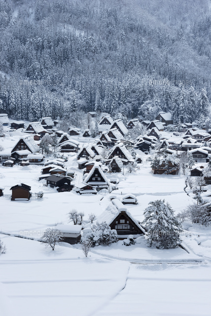 白川郷合掌集落
(c)YOSHITSUGU NISHIGAKI/SEBUN PHOTO