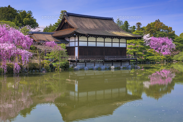 しだれ桜咲く平安神宮 尚美館
(c)YOSHITSUGU NISHIGAKI/SEBUN PHOTO