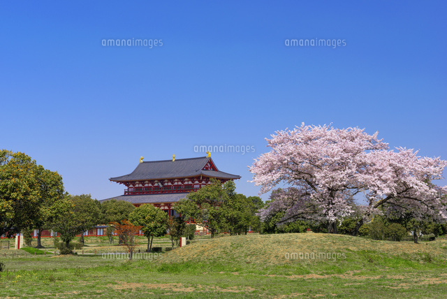 桜咲く平城宮跡と大極殿
(c)YOSHITSUGU NISHIGAKI/SEBUN PHOTO