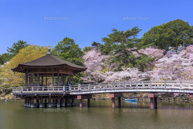 桜咲く鷺池と浮見堂
(c)YOSHITSUGU NISHIGAKI/SEBUN PHOTO