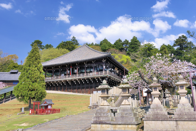 桜と東大寺二月堂
(c)YOSHITSUGU NISHIGAKI/SEBUN PHOTO