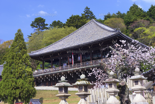 桜と東大寺二月堂
(c)YOSHITSUGU NISHIGAKI/SEBUN PHOTO