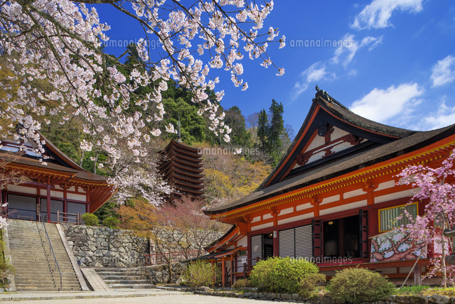 桜咲く談山神社 十三重塔
(c)YOSHITSUGU NISHIGAKI/SEBUN PHOTO