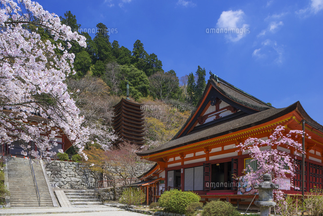 桜咲く談山神社 十三重塔
(c)YOSHITSUGU NISHIGAKI/SEBUN PHOTO