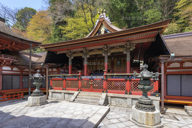 桜咲く談山神社 本殿
(c)YOSHITSUGU NISHIGAKI/SEBUN PHOTO