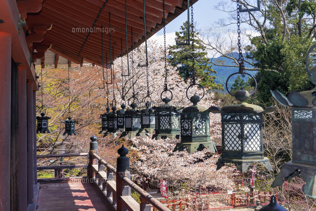 桜咲く談山神社 拝殿
(c)YOSHITSUGU NISHIGAKI/SEBUN PHOTO