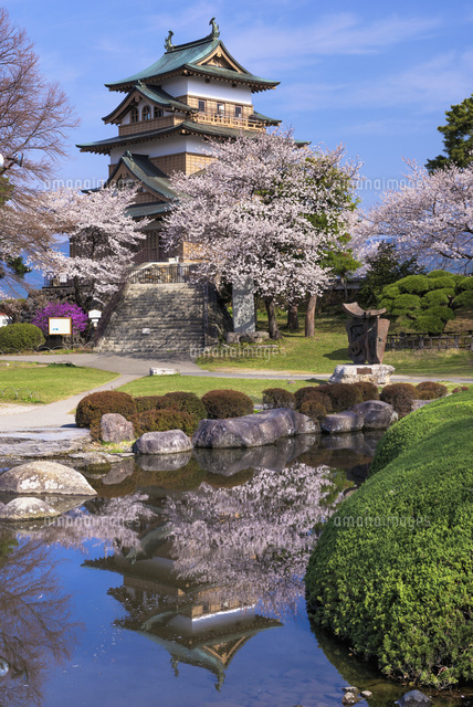 桜と高島城
(c)YOSHITSUGU NISHIGAKI/SEBUN PHOTO