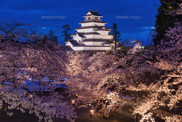 桜と鶴ヶ城 ライトアップ
(c)YOSHITSUGU NISHIGAKI/SEBUN PHOTO