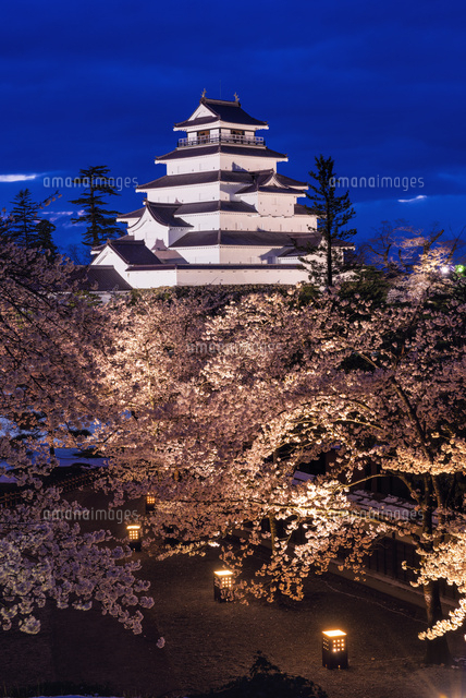 桜と鶴ヶ城 ライトアップ
(c)YOSHITSUGU NISHIGAKI/SEBUN PHOTO