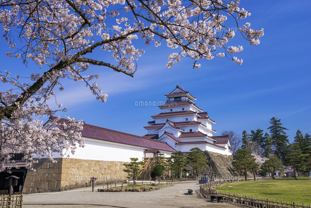 桜と鶴ヶ城
(c)YOSHITSUGU NISHIGAKI/SEBUN PHOTO