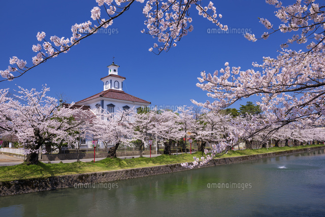 桜と致道博物館.旧西田川郡役所
(c)YOSHITSUGU NISHIGAKI/SEBUN PHOTO