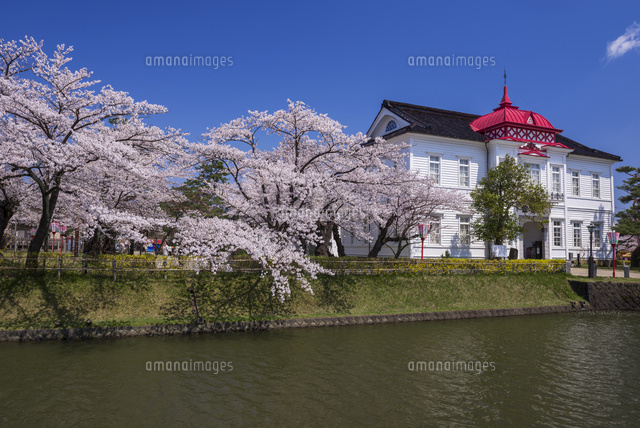 桜と大宝館
(c)YOSHITSUGU NISHIGAKI/SEBUN PHOTO
