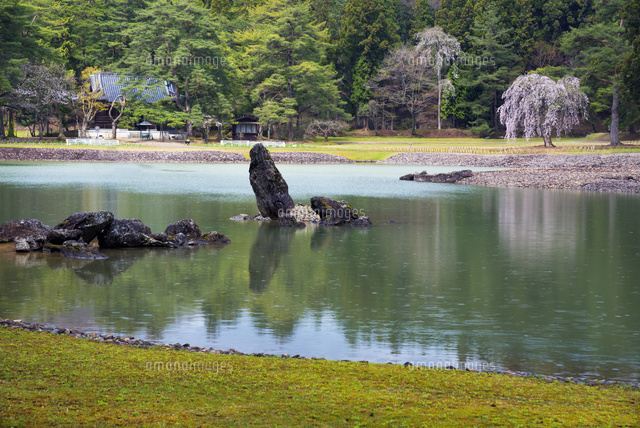 桜咲く毛越寺 浄土庭園
(c)YOSHITSUGU NISHIGAKI/SEBUN PHOTO
