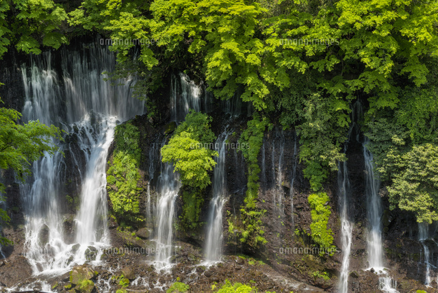 白糸の滝
(c)YOSHITSUGU NISHIGAKI/SEBUN PHOTO