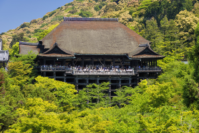 新緑の清水寺 舞台
(c)YOSHITSUGU NISHIGAKI/SEBUN PHOTO