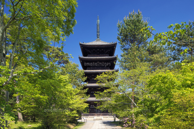 仁和寺五重塔
(c)YOSHITSUGU NISHIGAKI/SEBUN PHOTO