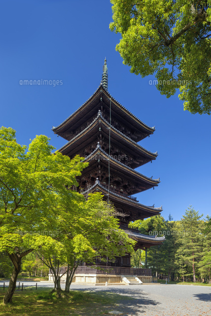 仁和寺五重塔
(c)YOSHITSUGU NISHIGAKI/SEBUN PHOTO