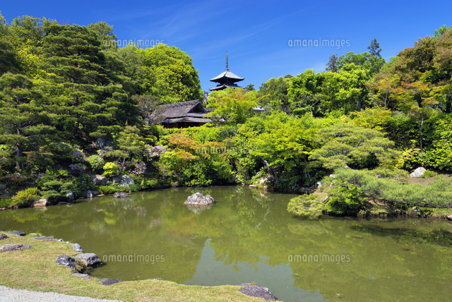 仁和寺庭園と五重塔 北庭
(c)YOSHITSUGU NISHIGAKI/SEBUN PHOTO