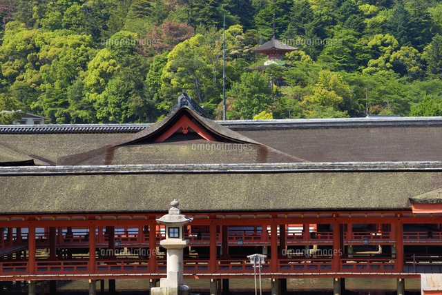 厳島神社と多宝塔 宮島
(c)YOSHITSUGU NISHIGAKI/SEBUN PHOTO