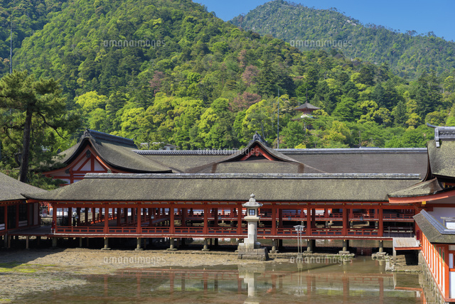 厳島神社と多宝塔 宮島
(c)YOSHITSUGU NISHIGAKI/SEBUN PHOTO