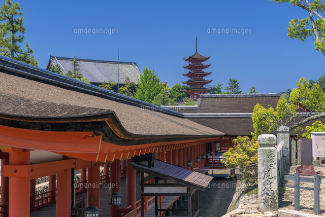厳島神社と五重塔 宮島
(c)YOSHITSUGU NISHIGAKI/SEBUN PHOTO