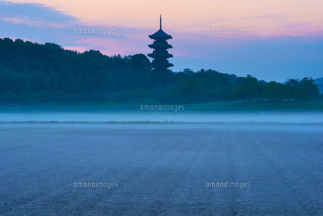 朝の備中国分寺五重塔
(c)YOSHITSUGU NISHIGAKI/SEBUN PHOTO