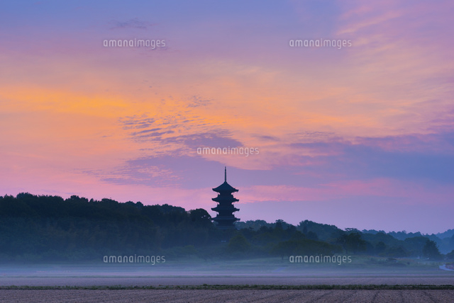 朝の備中国分寺五重塔
(c)YOSHITSUGU NISHIGAKI/SEBUN PHOTO